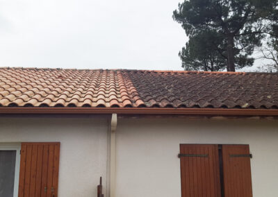 sur le toit nettoyage demeter couverture